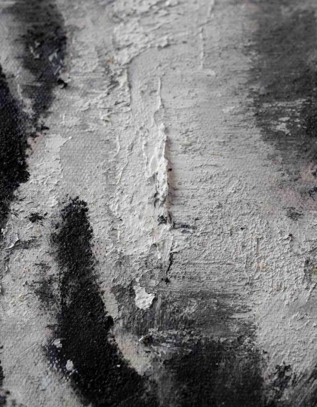 Monochromatic Horse Portrait Painting Textured