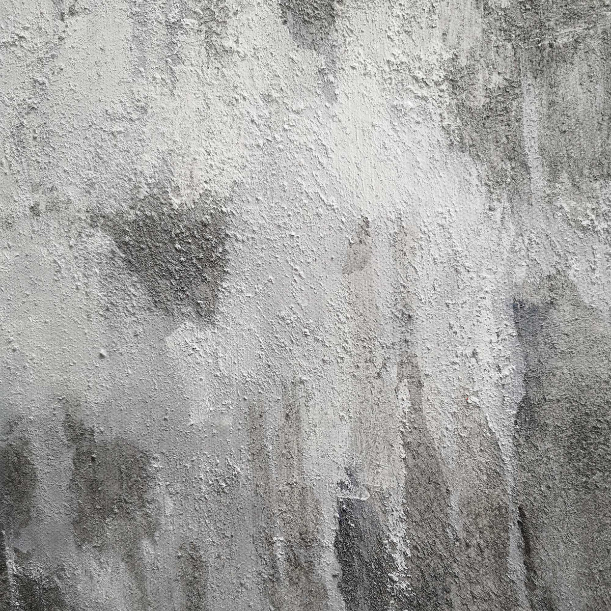 Wall Art Monochrome Woodland Haze