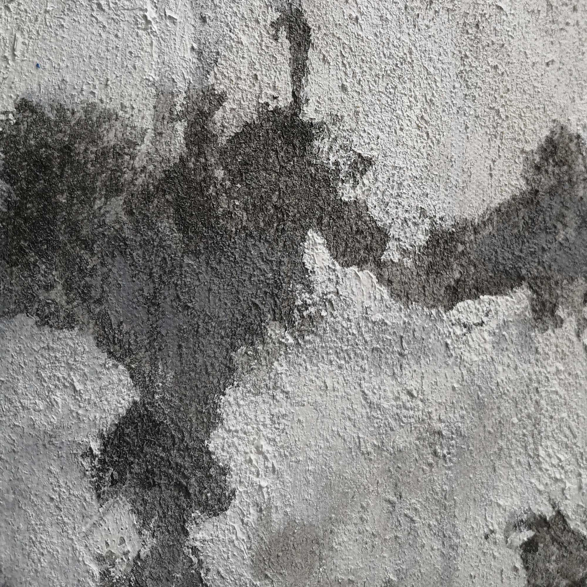 Wall Art Monochrome Woodland Haze